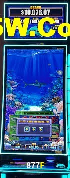 Live Casino 877F